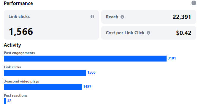 An example of performance metrics from a paid social media campaign
