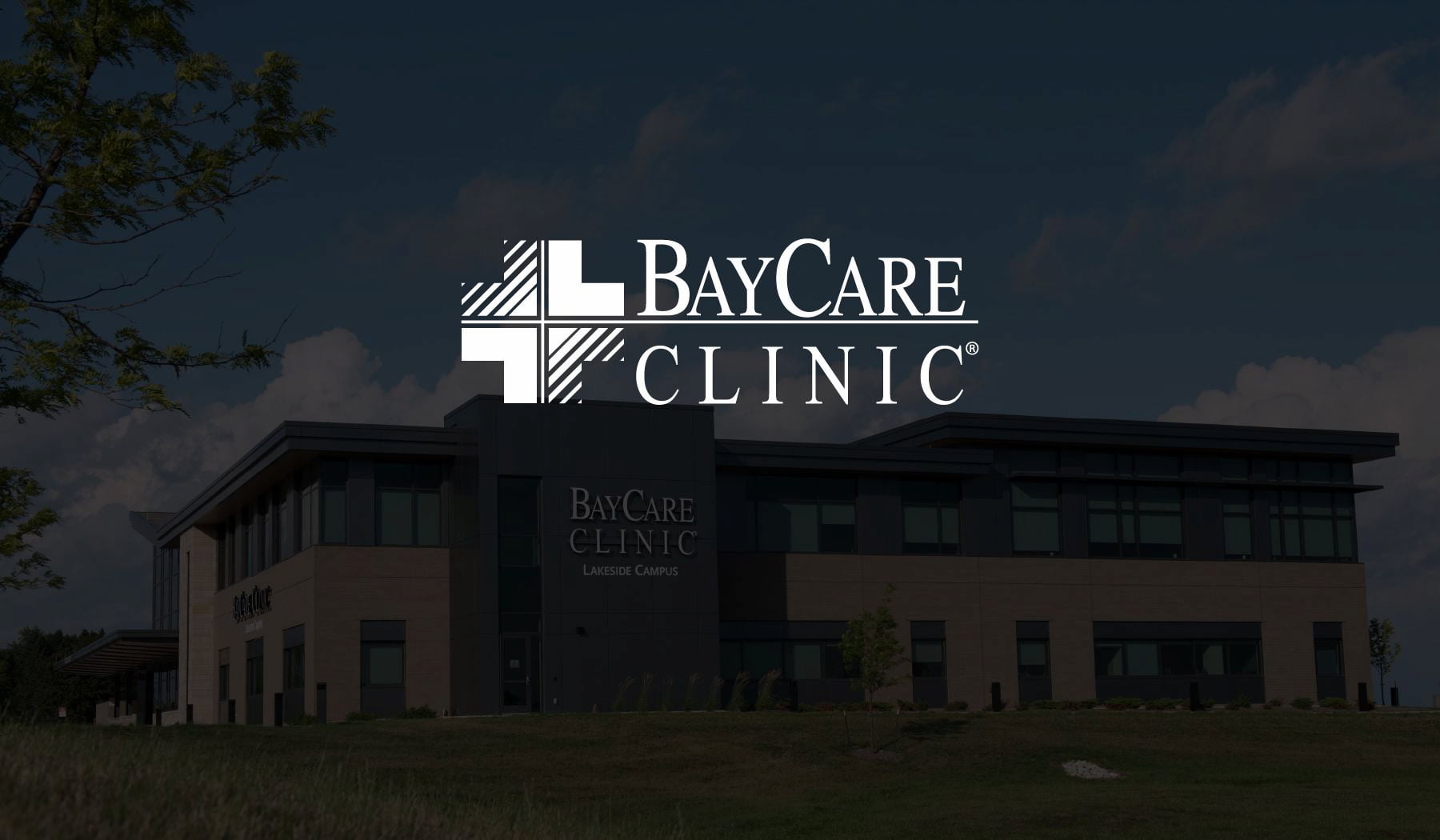 BayCare Project cover